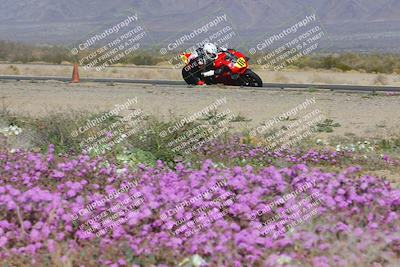 media/Feb-04-2023-SoCal Trackdays (Sat) [[8a776bf2c3]]/Turn 15 Inside Blooming (1050am)/